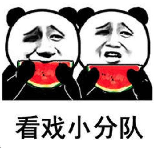 搞笑娱乐吃瓜图片表情包,笑料横生！搞笑娱乐吃瓜表情包大盘点